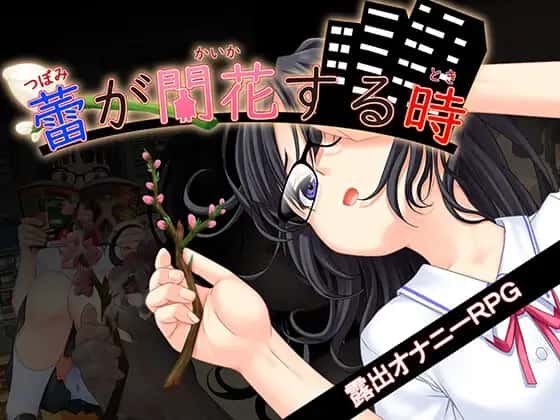 花蕾绽放之时
